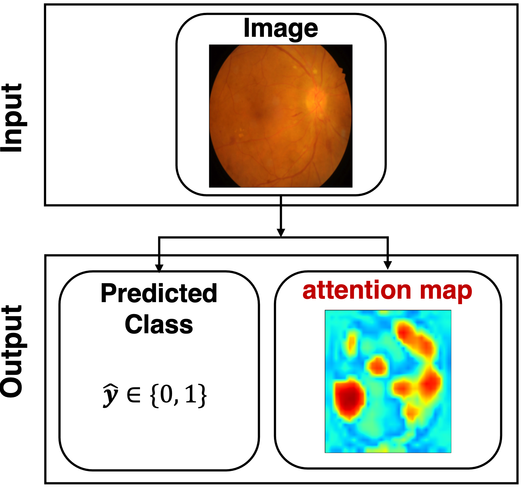 Explainable AI